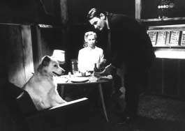 L'homme sans passe                d&#146;Ari Kaurism&auml;ki