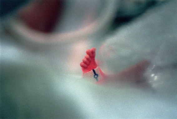 Photo Guillaume Binet - M.Y.O.P ©