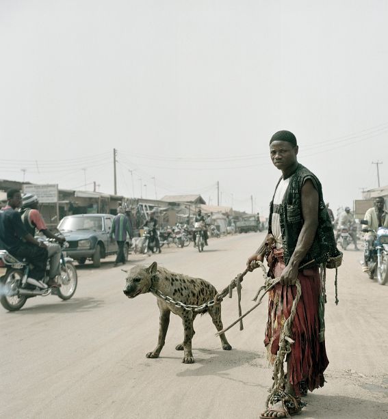 Hyena 3. &copy;Pieter Hugo 2006. Nous remercion lartiste de sa gracieuse autorisation &agrave; reproduire cette photographie. 