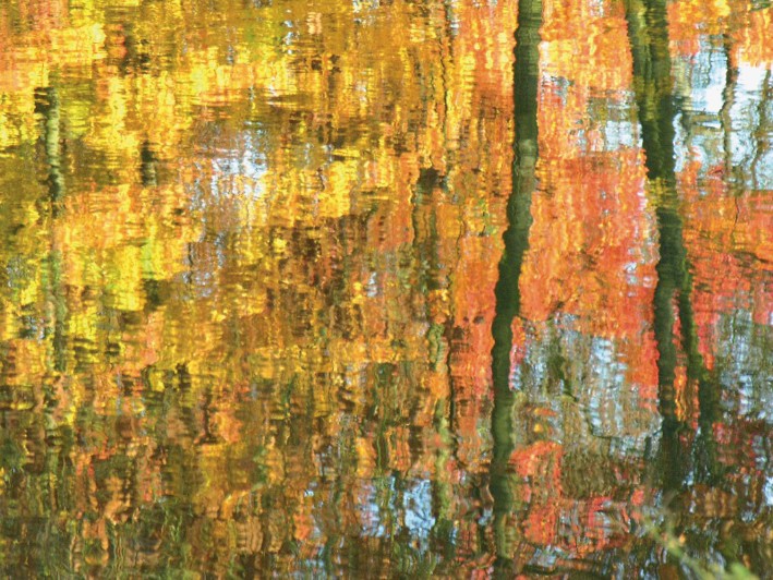 Reflets d'arbres dans un lac, Photo de Jean-Luc Duchêne