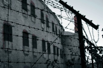 © Irene Teesalu - Fotolia.com