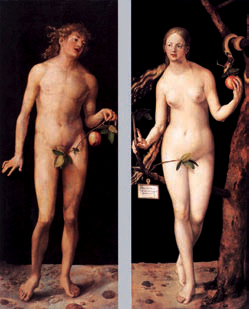 Albrecht Dürer : Adam et Ève. Peinture sur panneau, 1507,Madrid, Musée du Prado