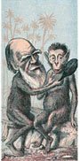 Dès la publication de sa théorie de l’évolution, Darwin fut l’objet de nombreuses critiques de la part de scientifiques et d’innombrables caricatures dans les magazines de la bourgeoisie victorienne. En couleur, une caricature anonyme parue dans le London Sketchbook. À gauche, une caricature de Thomas Nast parue dans le Harper’s Weekly, le 19 août 1871, qui représente un gorille qui se plaint à Henry Bergh, fondateur de la Société protectrice des Animaux anglaise, que Darwin revendique le même pédigrée que lui.